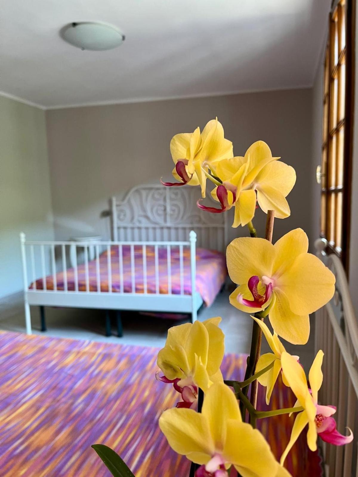 B&B Aria Di Lago Paratico Zewnętrze zdjęcie